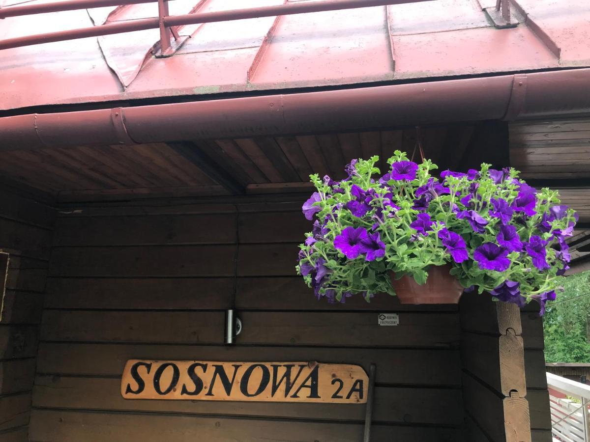 ヴィスワ Sosnowy Zakatekヴィラ エクステリア 写真